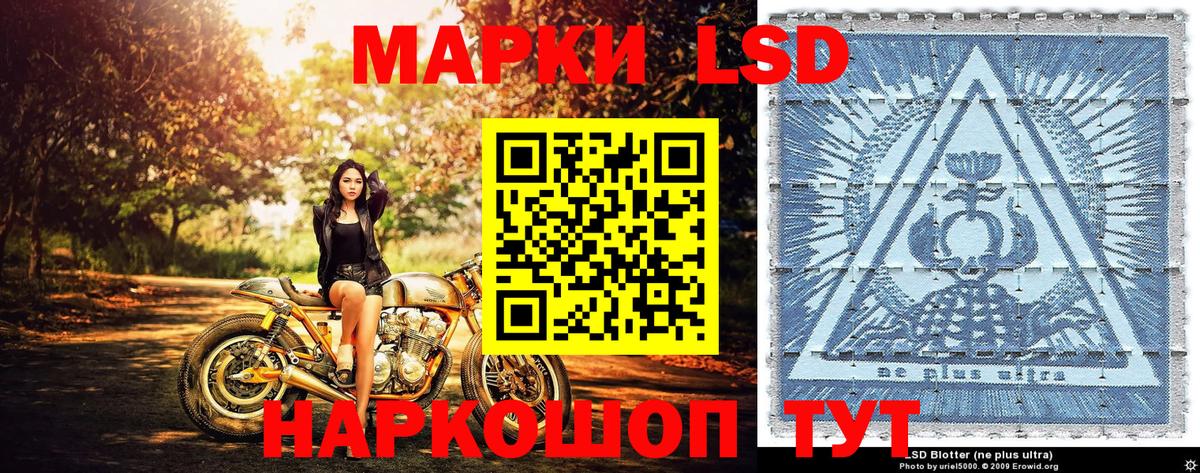 Марки 25I-NBOMe 1,5мг Чернушка