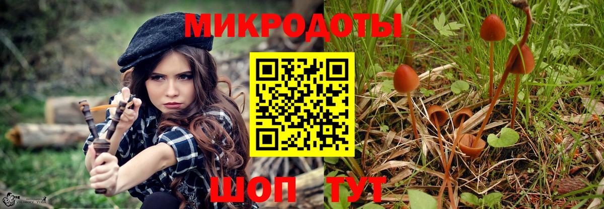 Чернушка  Псилоцибиновые грибы мухоморы  Вход с VPN 