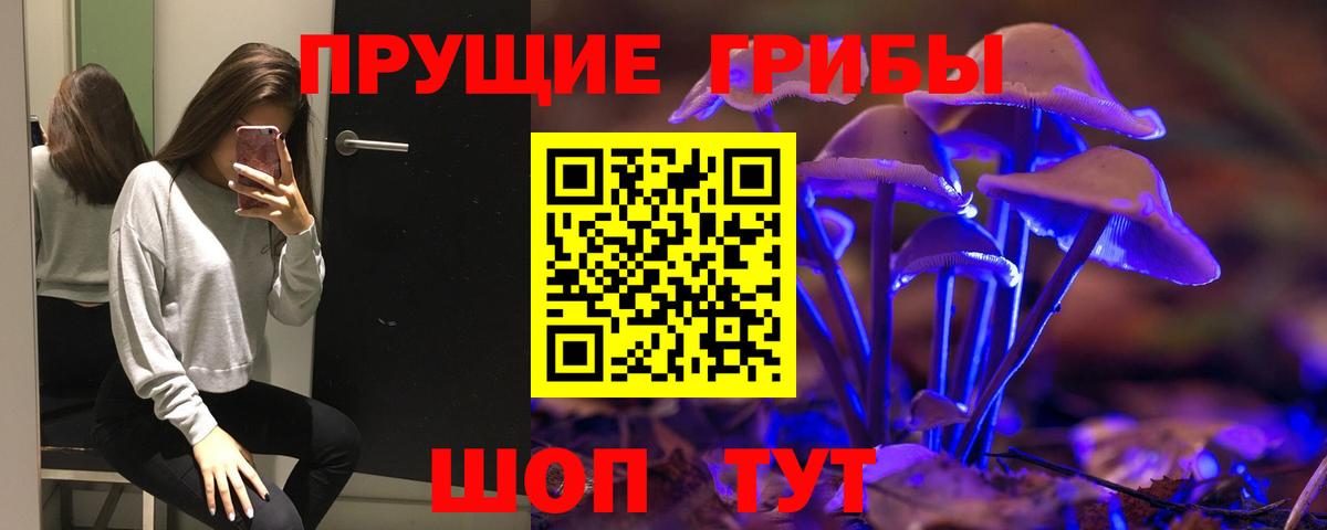 Псилоцибиновые грибы ЛСД Чернушка